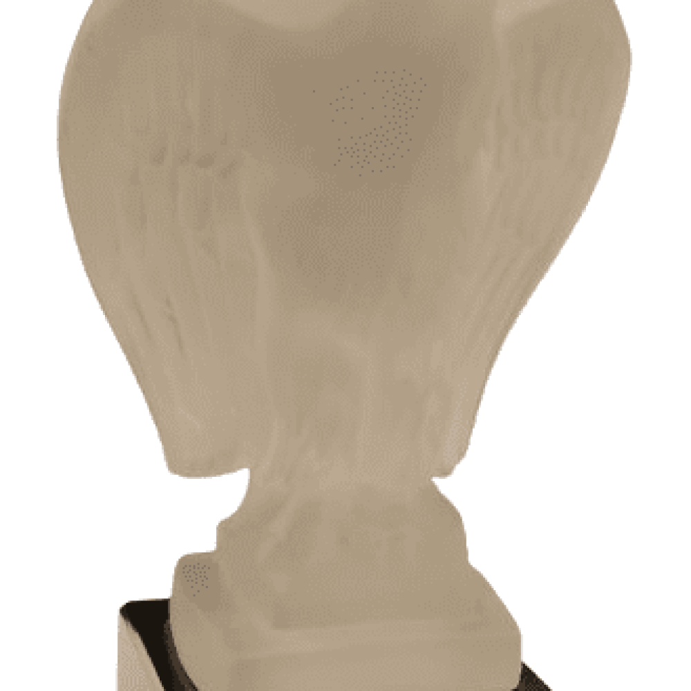 CRISTALERIA AGUILA 21 X 8X8