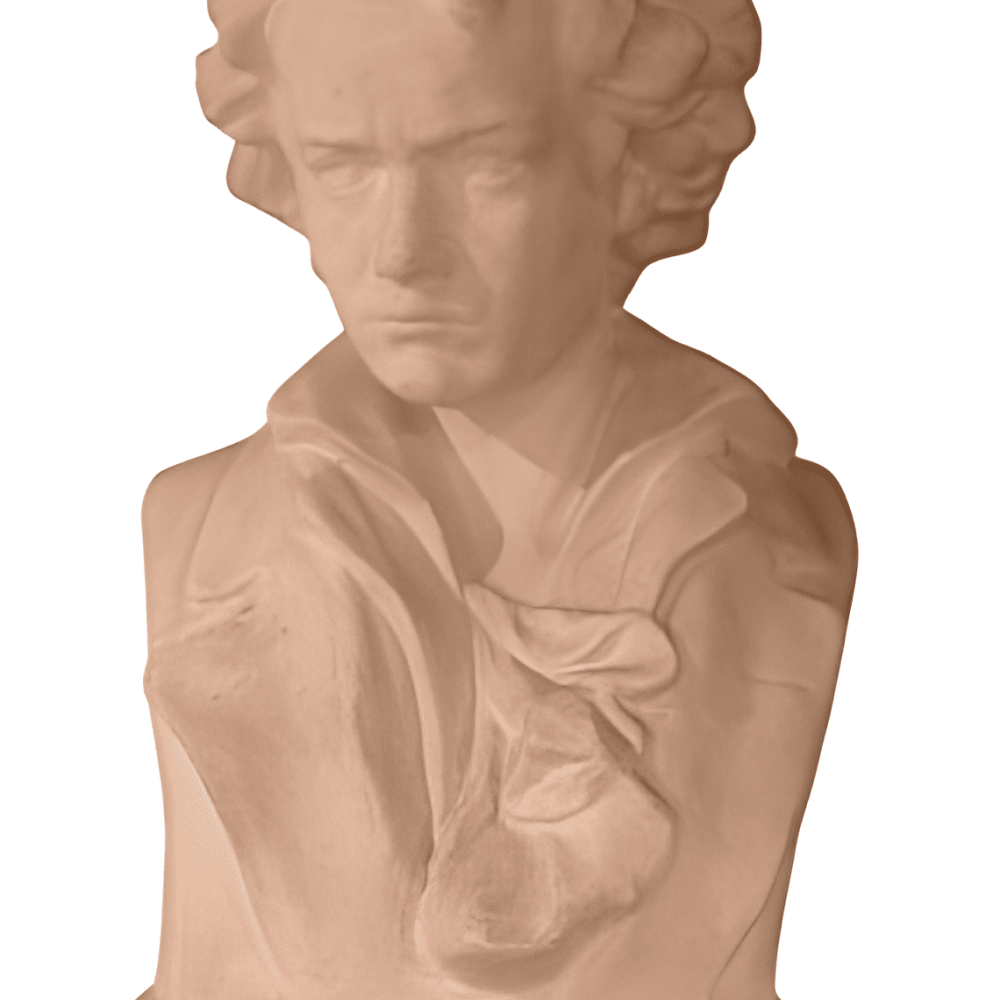 LUDWING VAN BEETHOVEN