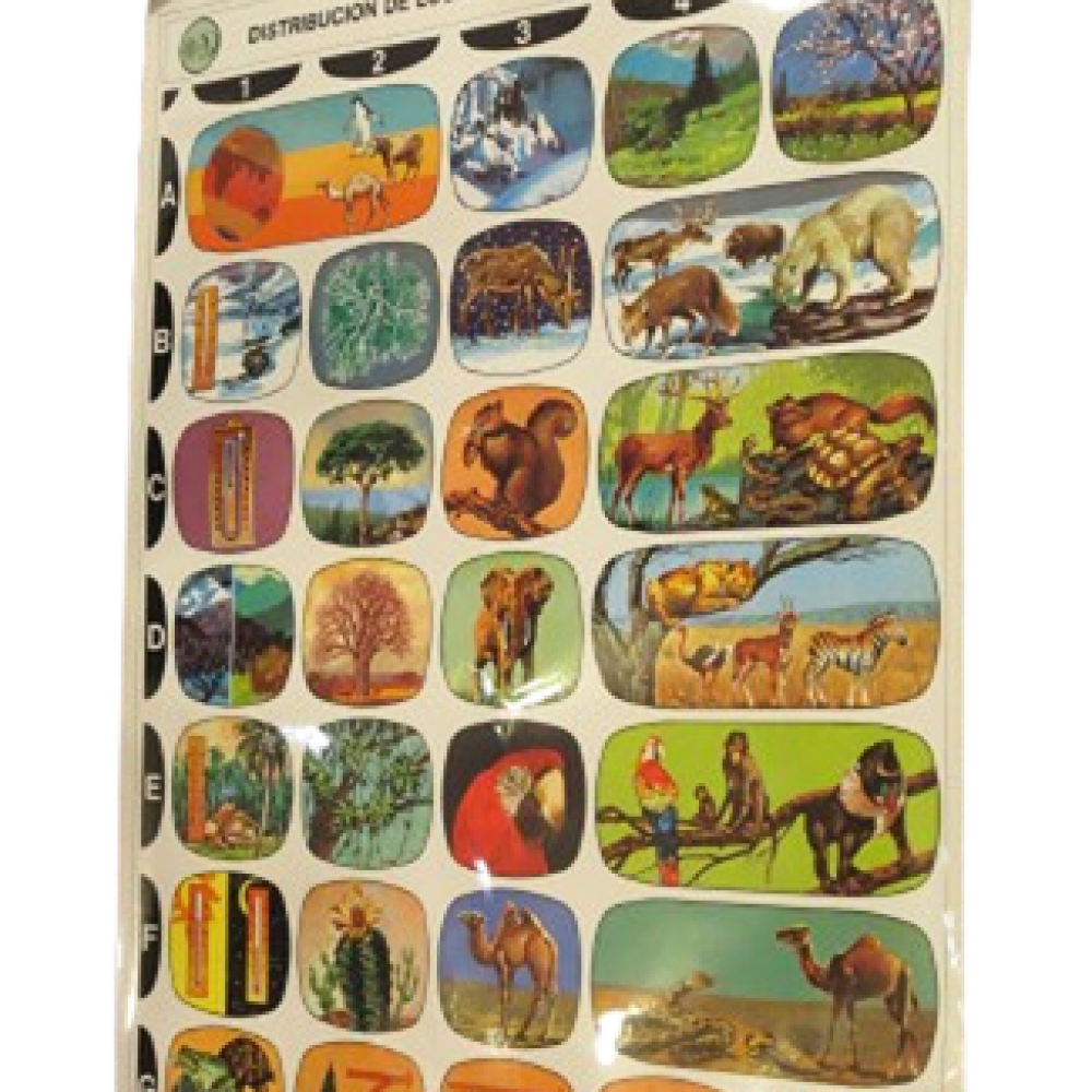 PÓSTER DE DISTRIBUCIÓN DE LOS SERES VIVOS: MEDITERRÁNEO